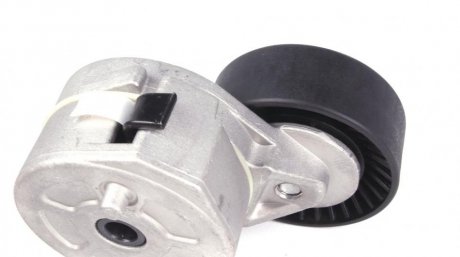 Натяжитель ремня solgy 110160