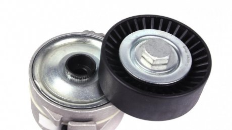 Натяжитель ремня solgy 110160