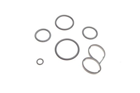 Прокладка масляного радіатора (комплект) solgy 113017