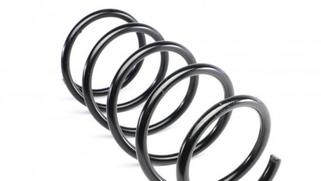 Пружина передня solgy 212006