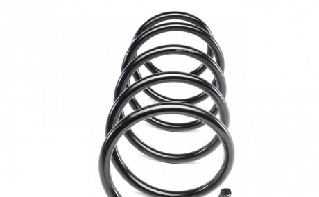 Пружина передня solgy 212006