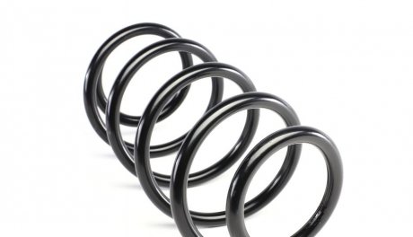 Пружина передня solgy 212007