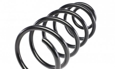 Пружина передня solgy 212020