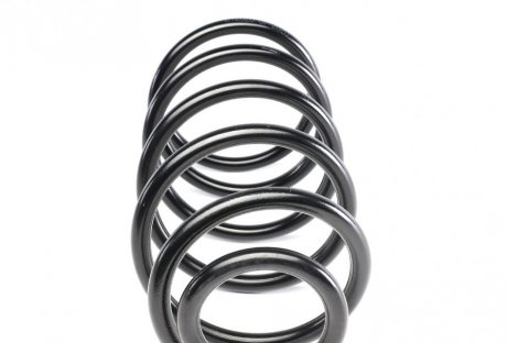 Пружина передня solgy 212020