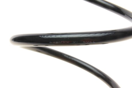 Пружина передняя solgy 212063