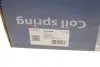 Пружина передняя solgy 212066