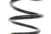 Пружина задняя solgy 212001