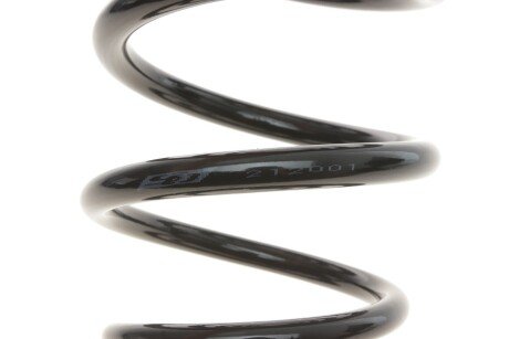 Пружина задняя solgy 212001