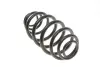 Пружина задняя solgy 212001