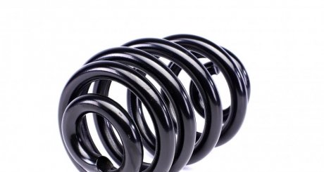 Пружина задняя solgy 212008