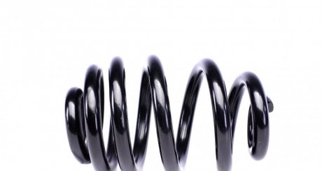 Пружина задняя solgy 212008