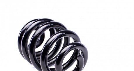 Пружина задняя solgy 212008