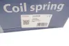 Пружина задняя solgy 212032