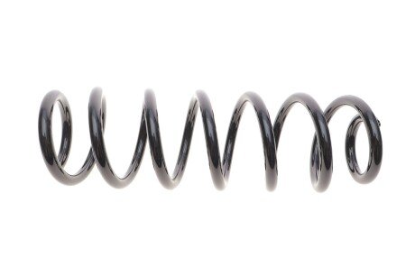 Пружина задняя solgy 212034