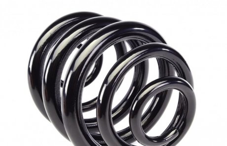 Пружина задняя solgy 212037