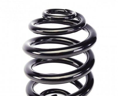 Пружина задняя solgy 212037