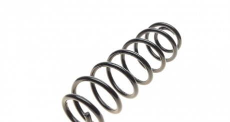 Пружина задняя solgy 212042