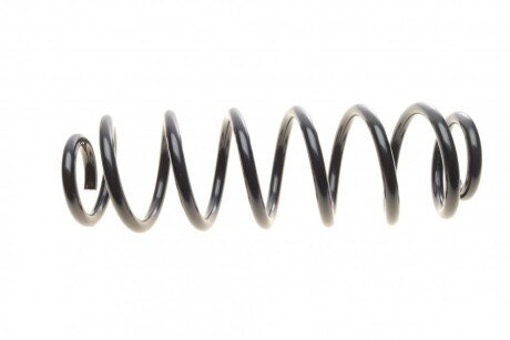 Пружина задняя solgy 212044