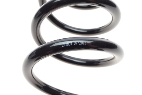 Пружина задняя solgy 212051