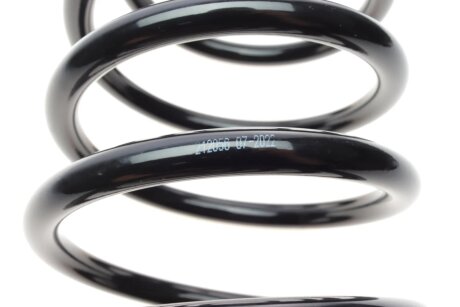 Пружина задняя solgy 212056