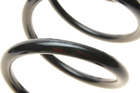 Пружина задняя solgy 212061