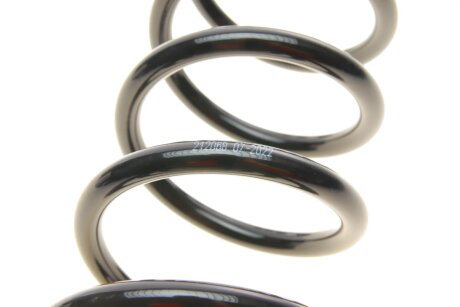 Пружина задняя solgy 212068