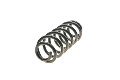 Задня пружина Solgy 212082