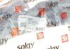 Важіль передньої підвіски solgy 204051