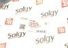 Важіль передньої підвіски solgy 204124