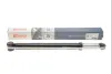 Задний амортизатор (стойка) solgy 211067