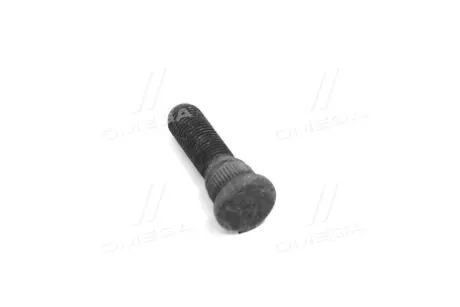 Болт подушки двигателя (пр-во SsangYong) SSANGYOUNG 53818T00910