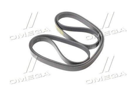 Привідний ремінь генератора ssangyoung 6659970392