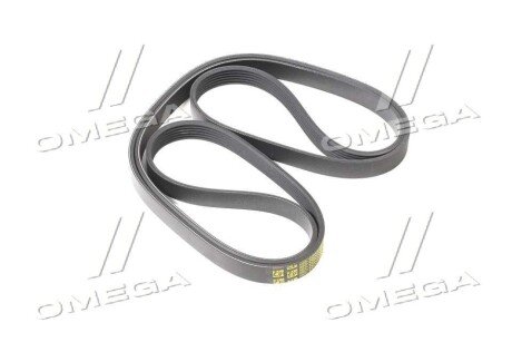 Привідний ремінь генератора ssangyoung 6659970392