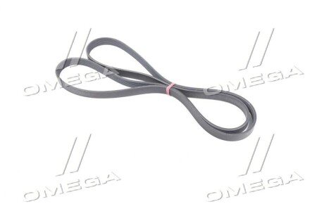 Приводной ремень генератора ssangyoung 6719970192