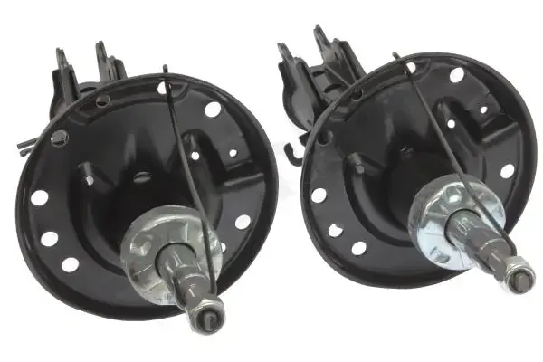 Передний амортизатор (стойка) starline TL C00348/9