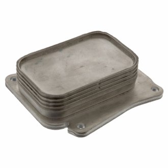 Радіатор масляний swag 10100743