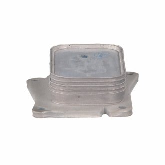 Радіатор масляний swag 10100743