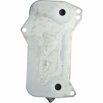 Радіатор масляний swag 30105873