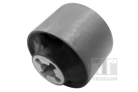 REAR BEAM BUSHING - FRONT (L=R) Tedgum 00216588