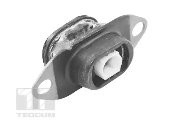 Подушка двигуна DACIA DUSTER Tedgum TED46913 (фото 1)