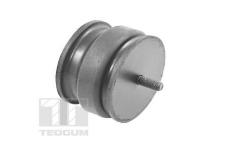 Подушка (опора) двигуна tedgum 00221175