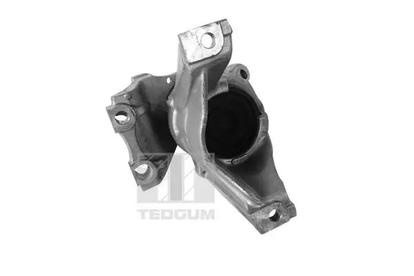 Подушка (опора) двигуна Tedgum 00269182 (фото 1)