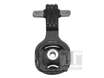 Подушка (опора) двигуна tedgum 00269395