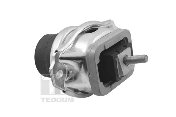 Подушка (опора) двигуна Tedgum TED96746 (фото 1)