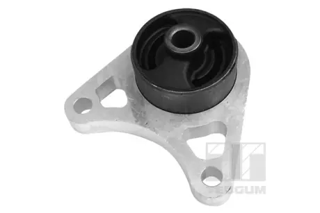 Подушка задньої балки Tedgum 01164615