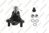 TEKNOROT HONDA кульова опора (к-кт) передня нижня CR-V III 07- Teknorot H-424K (фото 1)