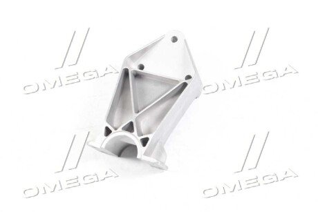 Кронштейн крепления крыла DAF XF95,105 tempest TP972870