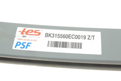 Рессора задняя tes BK315560EC0019ZT
