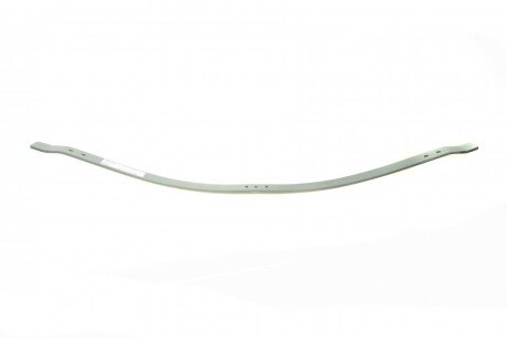 Рессора задняя tes 3372106819