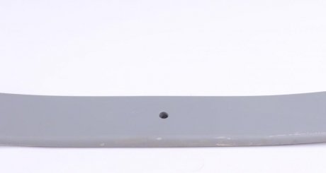 Задня ресора tes 6C115560FC0119ZT